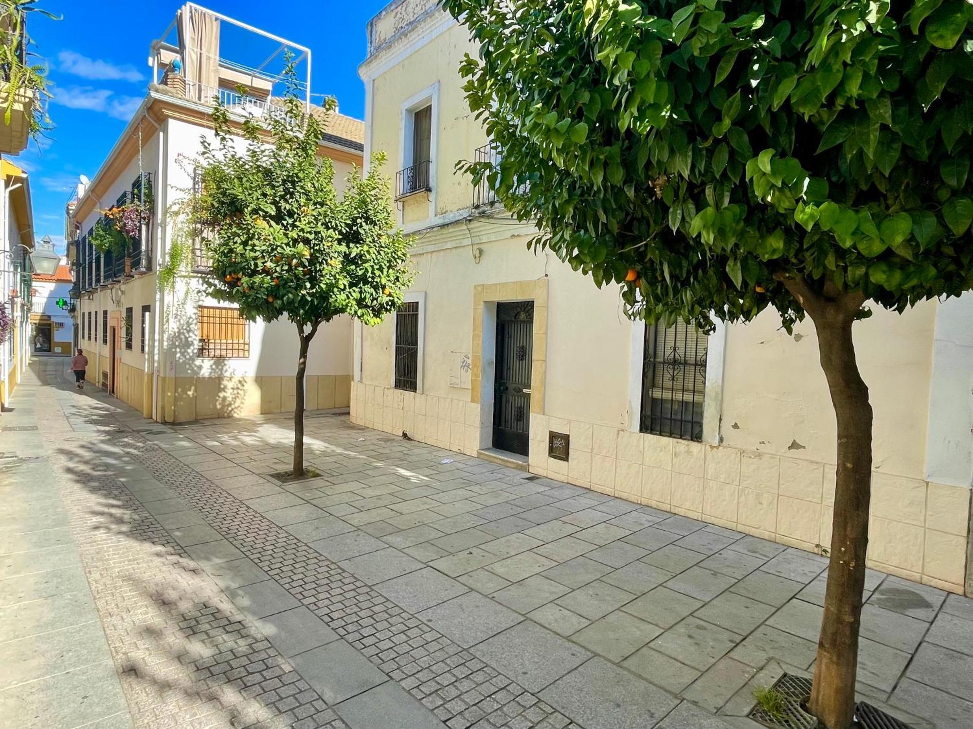 Cordoba Tinte Suites Εξωτερικό φωτογραφία